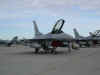 F-16CJ.JPG (60430 bytes)